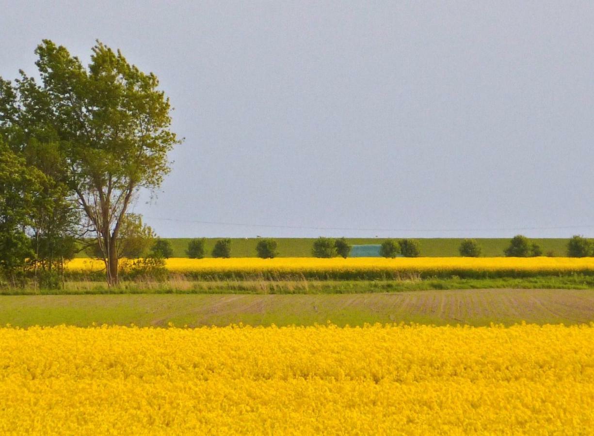 Wattenblick Büsum Εξωτερικό φωτογραφία